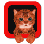 Cat Simulator 3D(小猫模拟器手游)v1.1 安卓版