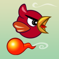 玩鸟过火游戏v1.0 安卓版
