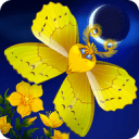 蝴蝶之星夜Flutter Starlight游戏v1.441 中文版