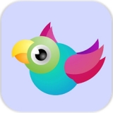 Bouncy Birds(欢快的鸟儿游戏)v0.8 最新版