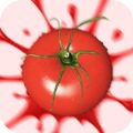 粉碎番茄CrushTomatov2.0.4 安卓版