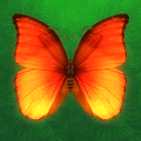 消灭蝴蝶游戏v1.0 最新版