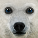 终极北极模拟器v1.1 最新版