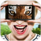 Vision animal simulator(视觉动物模拟器app下载)v1.2 官方版,第1张