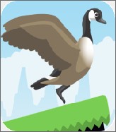 Jump Goose Jump!(捣蛋鹅中文版)v1.03 安卓版