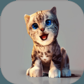 真实小猫3D模拟v1.0 3D版
