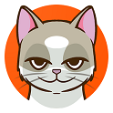 猫咪格斗九游版v1.2 最新版,第1张