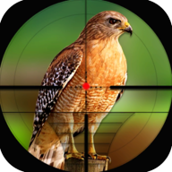 鸟类狩猎挑战Bird Hunting Challengev1.0 安卓版