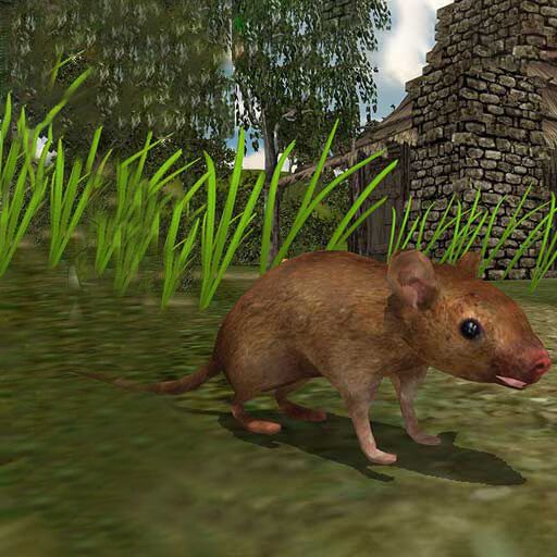 真实老鼠生存模拟器v1.2 安卓版