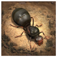 蚂蚁地下王国游戏v1.24.0 安卓版