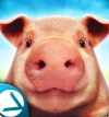 PigSimulator(猪猪模拟器之猪的一生)v1.01 安卓版