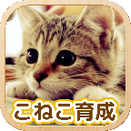 3D猫咪养成手游v1.2.1 安卓版,第1张